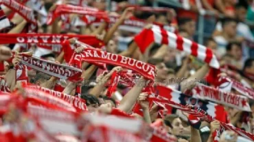 Cum ar putea fanii lui Dinamo să primească 10% din acțiunile clubului