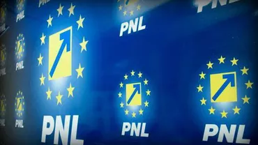 PNL vine cu propriul răspuns pentru Departamentul de Stat american: Ce schimbă aceștia față de rezoluția Dragnea-Tăriceanu