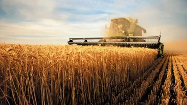 INTOLERABIL: România, cândva grânarul Europei, importă cereale din Bulgaria și Ungaria