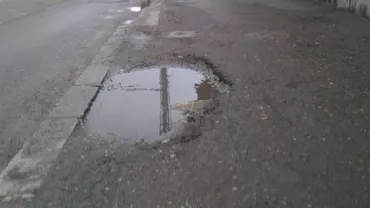 “Dorel” a asfaltat o baltă în Călărași (VIDEO)