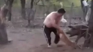 Porc pe porc se scoate: Un bărbat este fugărit de porc (VIDEO)