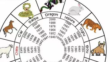 HOROSCOPUL CHINEZESC 2018. Vezi ce îți rezervă anul Câinelui de pământ