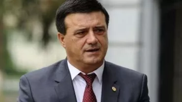 Bădălău: PSD a acceptat suspendarea democrației interne, o eroare pe care trebuie să şi-o asume / Reacția lui Dragnea (FOTO)