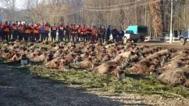 Oradea survolată de flota lui Ţiriac! Începe măcelul de mistreți de la Balc