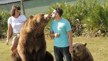 O familie din SUA trăiește alături de 14 urși care cresc în curtea casei