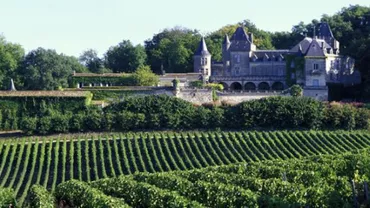 Din cauza înghețului din primăvara trecută, PRODUCȚIA DE VIN din regiunea Bordeaux S-A PRĂBUȘIT cu 40%