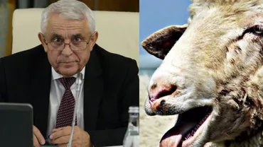 “Am început să SALIVĂM la etichetă!” Ministrul Daea “ALEGE OAIA” declanșează RĂZBOIUL cu producătorii