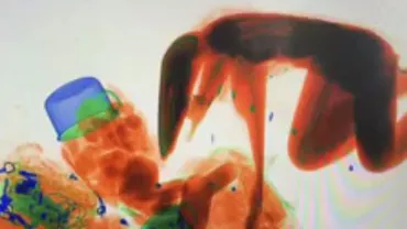 O femeie din China a trecut prin SCANERUL CU RAZE X al staţiei de tren de DRAGUL banilor (VIDEO)