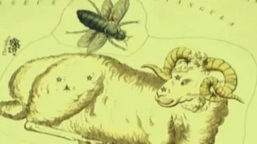 HOROSCOPUL pentru zodia BERBEC, în perioada 17-24 februarie, prezentat de Alina Bădic, alături de terapeutul Maria Ciobanu (VIDEO)