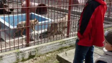 O mamă și cei trei copii ai săi, ÎNCHIȘI la Grădina Zoologică! Caz HALUCINANT la Oradea!