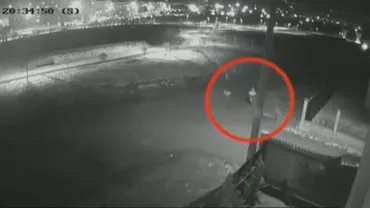 Mangalia: Un copil de 10 ani a fost atacat de o haită de câini fără stăpân. Reacția primarului (VIDEO)