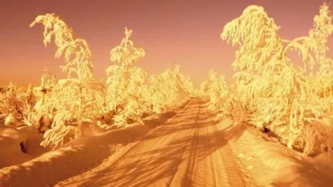 IMAGINI incredibile cu ZĂPADA SAHARIANĂ PORTOCALIE care a îngropat ROMÂNIA! CE SPUN SPECIALIȘTII (VIDEO)