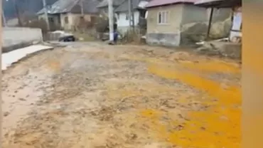 Maramureș: Dezastru ecologic în Rezervația Naturală Cheile Lăpușului. Mii de peşti au murit (VIDEO)