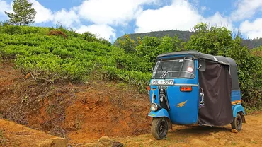 Italia: O prostituată româncă, prinsă în timp ce făcea amor într-o tricicletă cu un bărbat de 80 de ani. Ce au păţit cei doi