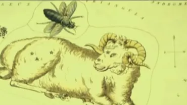 HOROSCOPUL pentru zodia BERBEC, în perioada 1 - 7 aprilie, prezentat de Alina Bădic, alături de Simona Popescu (VIDEO)