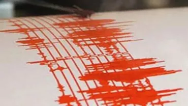 Cutremur în județul Vrancea: Ce magnitudine a avut seismul