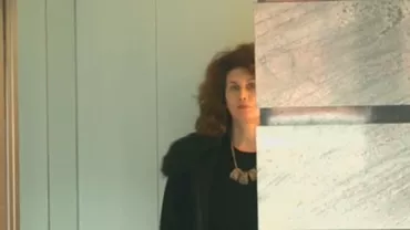 Termen în procesul de insolvenţă Realitatea: Avocaţii cer recuzarea judecătoarei Mariana Moncea, magistrat suspendat de CSM (VIDEO)