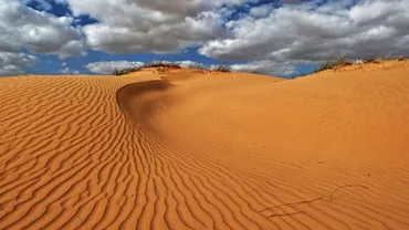 SPECIALIȘTII sunt în ALERTĂ!  Oltenia devine SAHARA României! Mii de hectare acoperite anual de DUNE