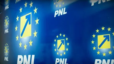 Surse: PNL va depune moțiune simplă pe Sănătate