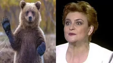 Ministrul Mediului, Graţiela Gavrilescu, nu ştie numărul urşilor din România
