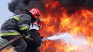 Bacău: Pericol major într-o pădure cuprinsă de incendiu. În zonă există muniție neexplodată din al Doilea Război Mondial (VIDEO)