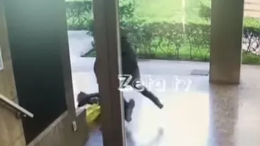 Milano: Un român a bătut şi jefuit un bătrân. Politician italian: Să putrezească în pușcărie! (VIDEO)