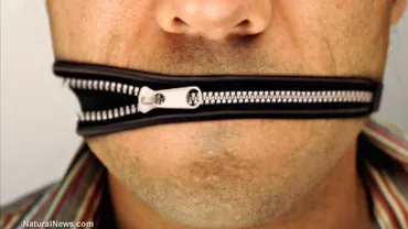 Democrație ca-n România: Scrii un pamflet, iei amendă / În Germania poți să numești o politiciană ”curvă nazistă”, în Austria poți să-i transmiți vicecancelarului ”Fuck you!”