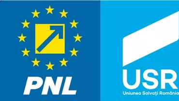 PNL şi USR pregătesc moţiune de cenzură împotriva guvernului Dăncilă după ce Iohannis a cerut demisia premierului