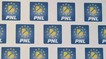 PNL, despre întâlnirea Dăncilă-Isărescu: Dragnea vrea să arate că el mediază între Guvern și BNR