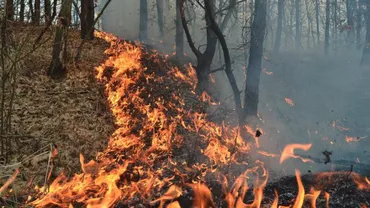 Incendiu de vegetație în Munții Ciucaș, la granița dintre județele Brașov și Prahova