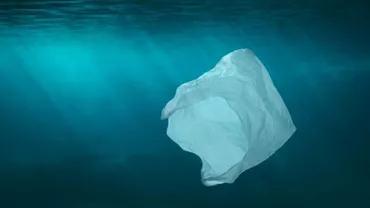 Poluare până în cel mai adânc punct de pe Pământ: Pungă de plastic găsită la peste 10.000 de metri