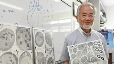 Dieta japonezului laureat cu premiul Nobel: Te scapă de kilogramele în plus și ajută la regenerarea celulară