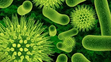 ALERTĂ MEDICALĂ în SUA:  Un VIRUS mortal a fost DESCOPERIT în Texas