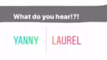 Întrebarea ”Yanny sau Laurel?” a împărțit internetul în două tabere. Ce explicație oferă specialiștii (VIDEO)
