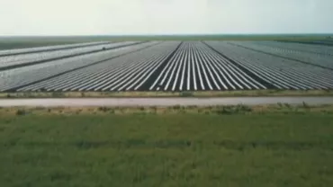 Insula Mare a Brăilei ar putea fi preluată de arabi. “În România peste 40% din suprafaţă e deţinută de străini fără să ştim cine sunt”