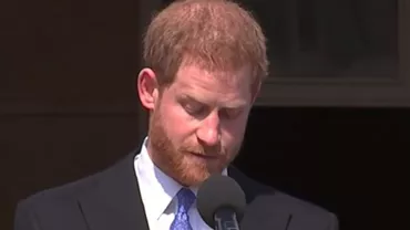 Prințul Harry, atacat de o albină în timpul unui discurs: Cum a reacționat Meghan Markle (VIDEO)