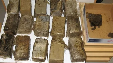 Italia: Român prins în timp ce transporta 240 de kilograme de droguri într-un tir