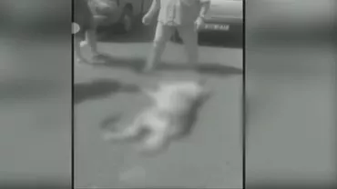 Teleorman: Un bărbat şi-a legat câinele de maşină şi l-a târât pe asfalt sute de metri (VIDEO ȘOCANT)