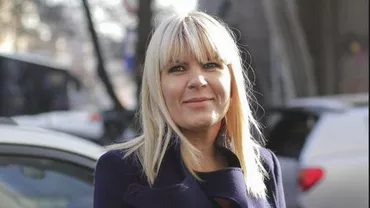 Elena Udrea CONDAMNATĂ DEFINITIV la 6 ani de închisoare în dosarul GALA BUTE. Rudel Obreja, 5 ani de închisoare
