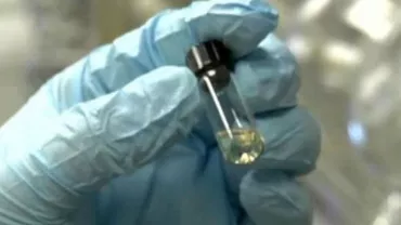 ALERTĂ MEDICALĂ! Pesta porcină a ajuns la graniţa României: Avertisment de ultim moment către populaţie