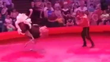 Panică la un circ din Rusia: Un struț a lovit cu picioarele spectatorii (VIDEO)