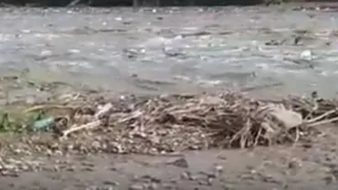 Dezastru ecologic pe râul Teleajen (VIDEO)