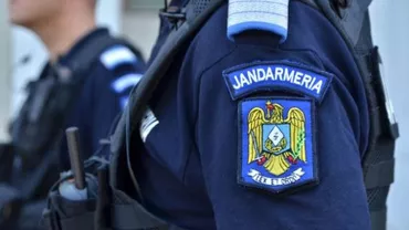 Aici se află puiul meu RĂNIT, vă rog salvaţi-l Acţiune INCREDIBILĂ a jandarmilor din Arad! Toţi au rămas cu ochii în lacrimi (FOTO)