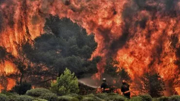 Grecia face public raportul despre INCENDIILE devastatoare: CAUZA tragediei a fost...