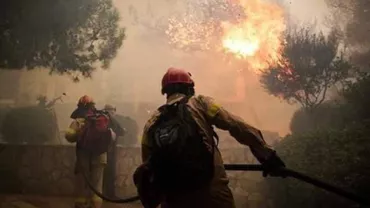 GUVERNUL GREC, acuzat de propagarea INCENDIULUI DEVASTATOR: ‘Mii de greşeli mărunte au dus la numărul mare de victime’
