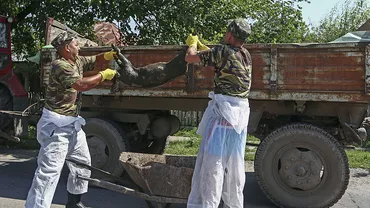 Reacția ȚĂRANILOR ROMÂNI în fața amenințării pestei porcine: Când aud că vin jandarmii în sat, tai porcii înainte să ajungă la mine și îi bag în congelator