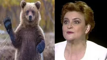 Nicio țară din UE nu vrea URȘI din România! Ministrul Mediului: Am primit răspunsuri negative, chiar și distractive, în durerea noastră