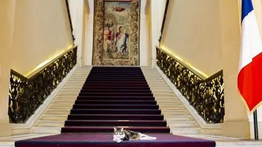 IMAGINEA ZILEI vine de la Ambasada Franței: Nomi, MINISTRUL pentru PISICILE FRANCEZE din străinătate (FOTO)