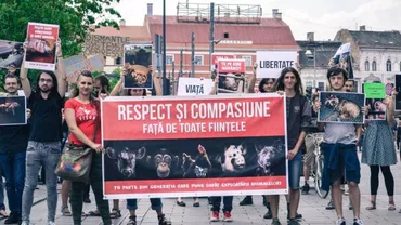 Protest al veganilor în Cluj: Și animalele vor să își trăiască viața, nu să fie omorâte pentru consum!
