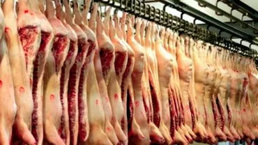 Liste de așteptare și cozi mari la CONGELATOARE, din cauza PESTEI PORCINE: Oamenii își pun la păstrare pentru la iarnă porcii tăiați înainte de venirea autorităţilor